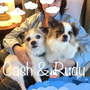 Meet your Posher, Debbie